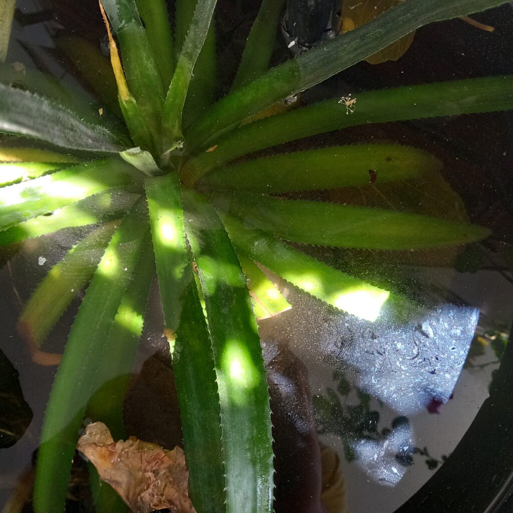20241023_094941